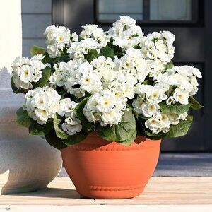 12-PCS White Artificial Silk Faux Flowers Plants Balcony Garden Home Decoration